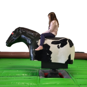 Rodeo Bullriding